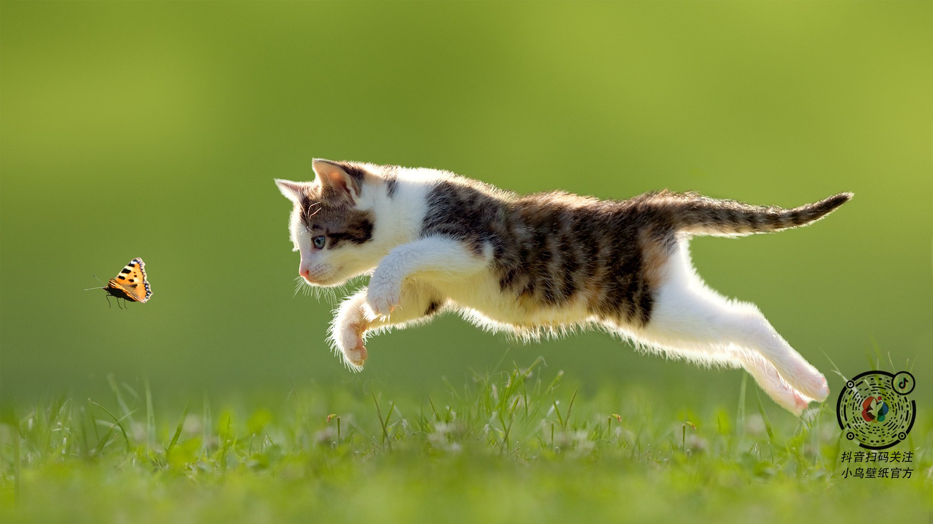 意甲豪门对决，战术变化尽显球队智慧，意甲豪门排名