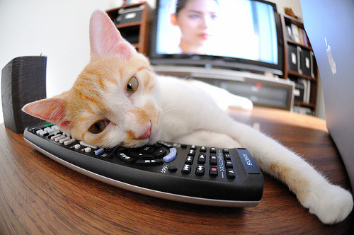 九游登录入口-“足球+互联网++体育+文化”融合发展新格局逐步明朗，如何打造足球体育文化