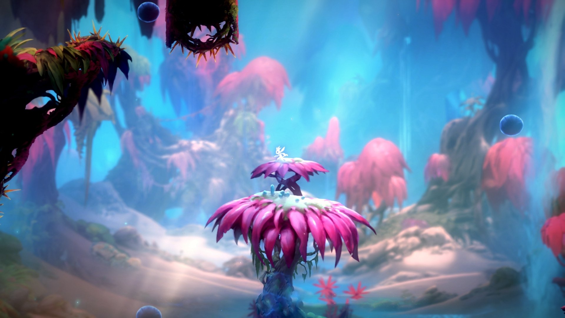 九游娱乐(jiuyou)官方网站-“足球公益活动：带来更多青少年参与体育的机会”，足球俱乐部公益活动