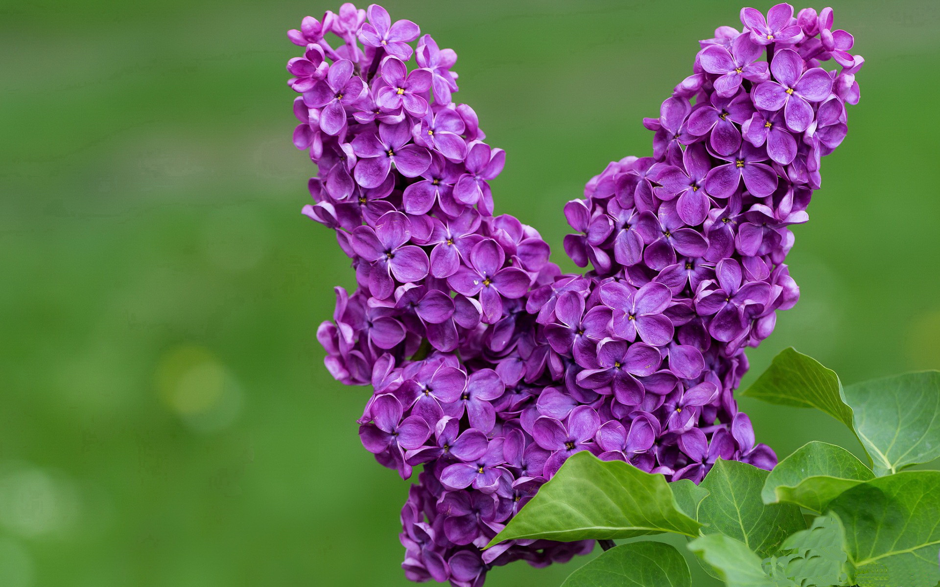 九游9游-“足球场馆全面升级，确保未来赛事顺利举行”，足球展厅