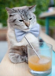 九游娱乐(jiuyou)官方网站-《全球拆弹者：国际电竞锦标赛进入白热化阶段》，拆弹技术