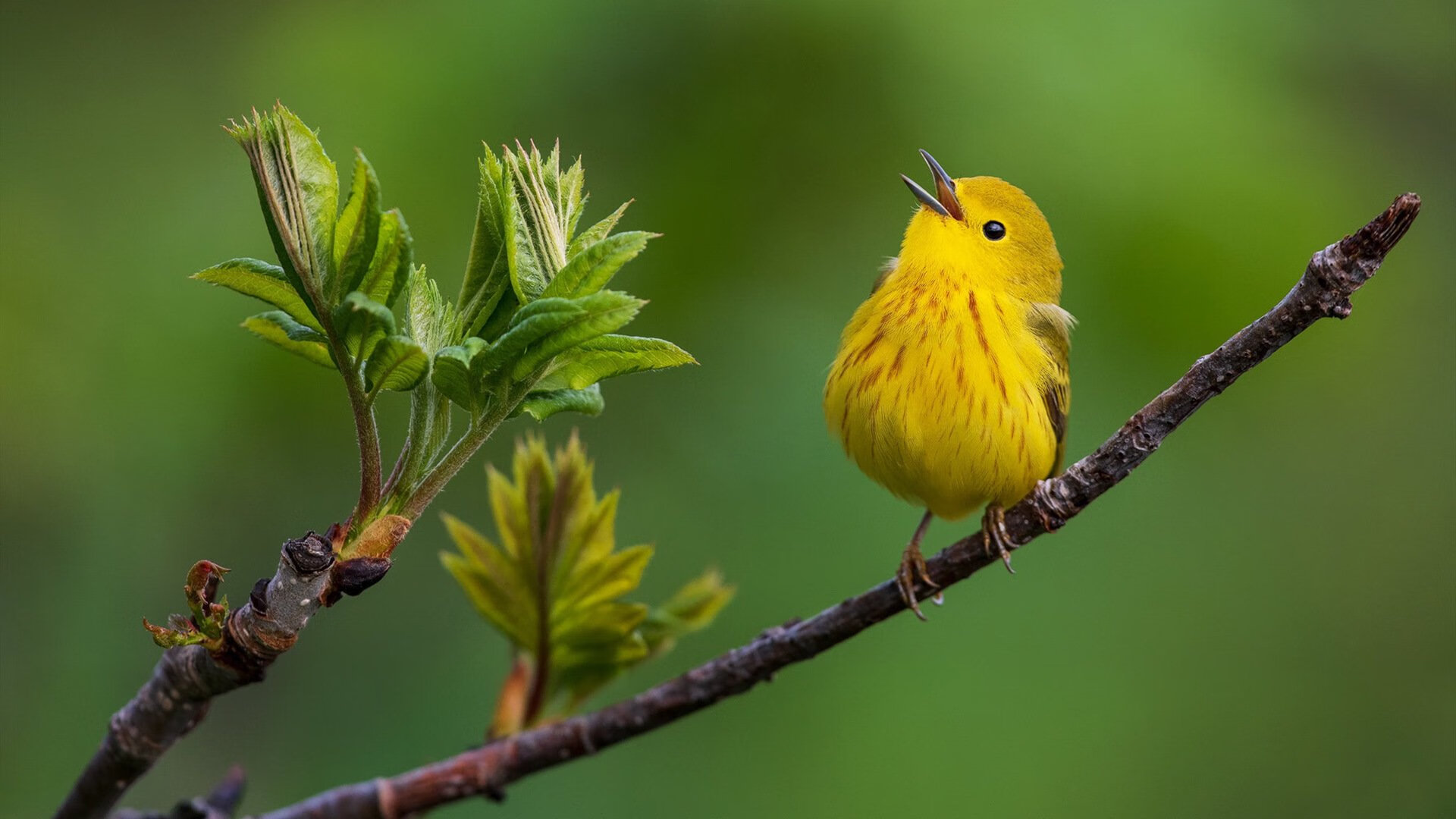 九游-全场聚焦：你不能错过的比赛亮点！，比赛亮点或成效